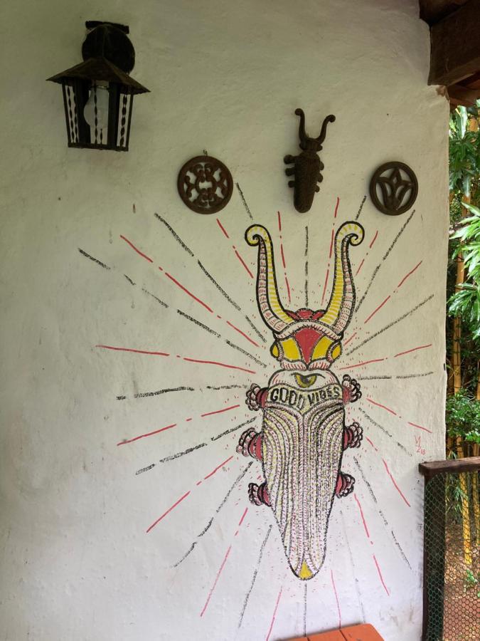 Alto Paraíso de Goiás Sitio Macaubas Do Moinhoヴィラ エクステリア 写真